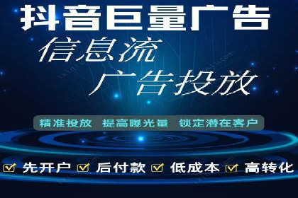网络推广与竞价策略实战案例